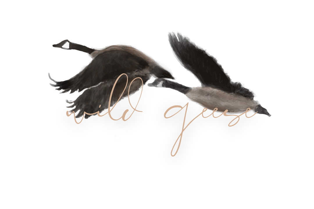wild geese by oliver